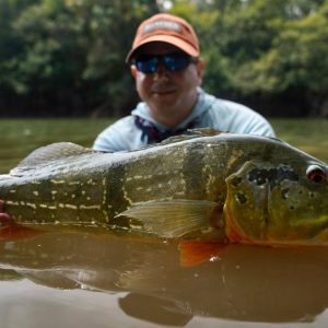 WhatsApp Image 2020-03-14 at 18.06.11