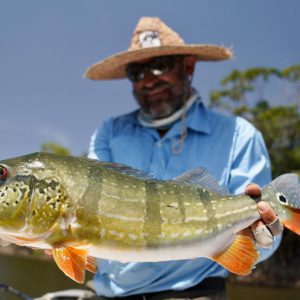 WhatsApp Image 2020-03-14 at 18.06.23