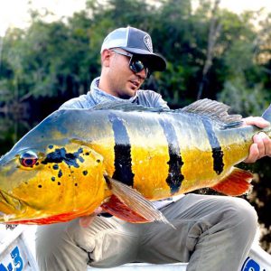 WhatsApp Image 2020-03-14 at 18.07.55