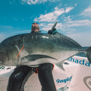 4324d636-71e2-45a9-9096-6512835c5c4a