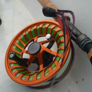 DSC03311